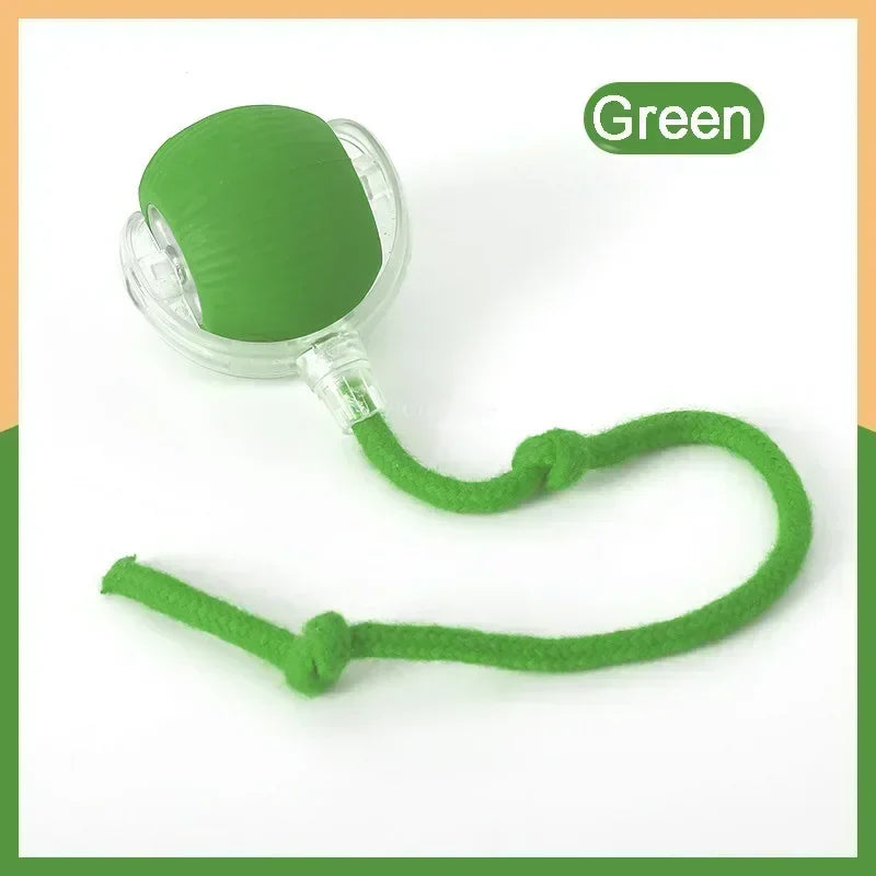Smart Chase Pet Toy