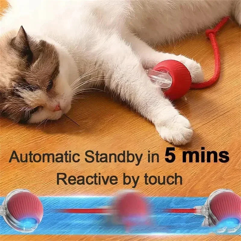 Smart Chase Pet Toy