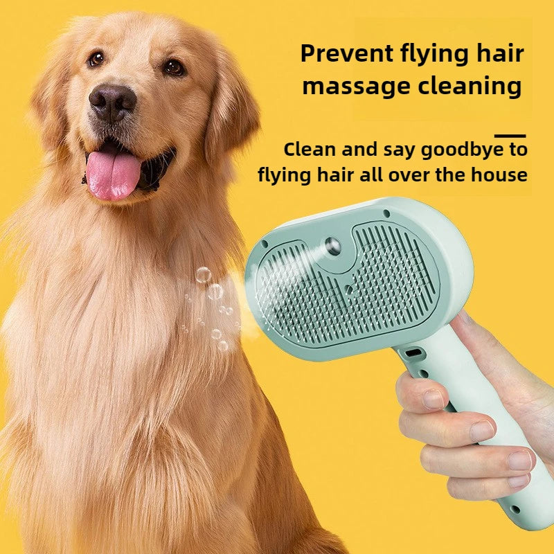 Steam Brush 