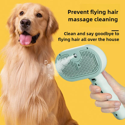 Steam Brush 