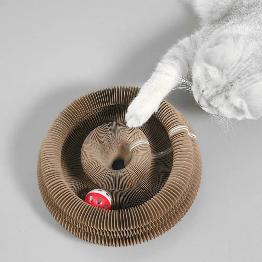 Cats Scratcher Scratch Round Board