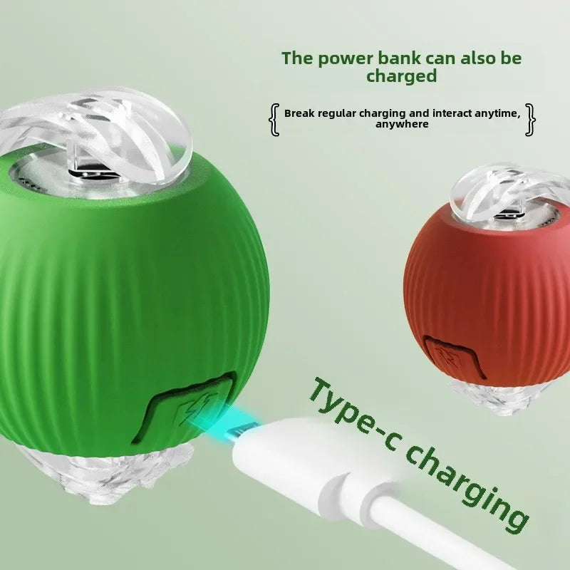 Smart Chase Pet Toy