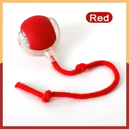 Smart Chase Pet Toy