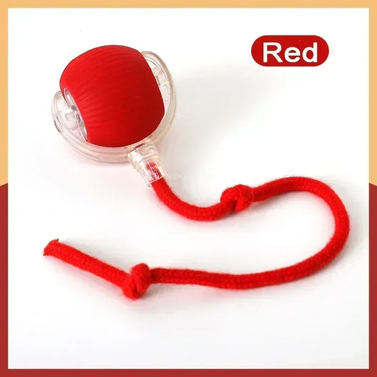 Smart Chase Pet Toy