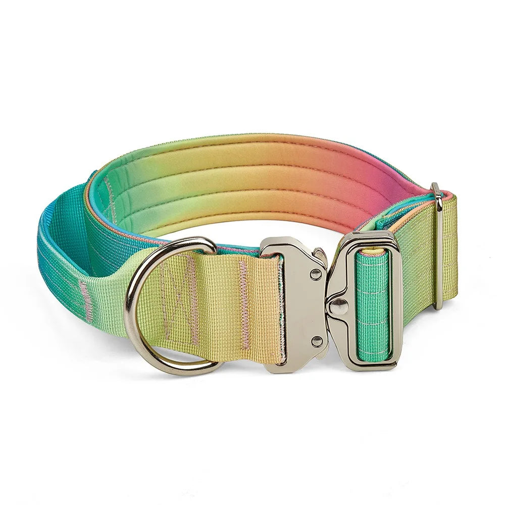 Comfort Control Dog Collar