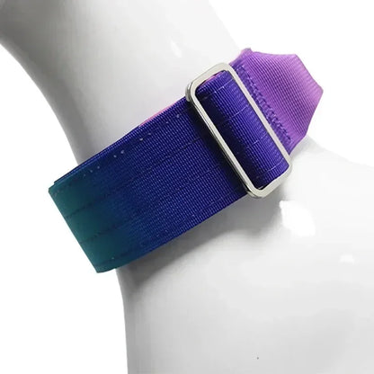 Comfort Control Dog Collar