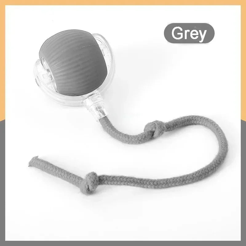 Smart Chase Pet Toy