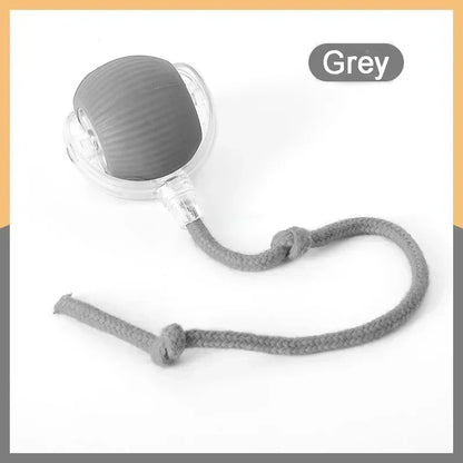 Smart Chase Pet Toy