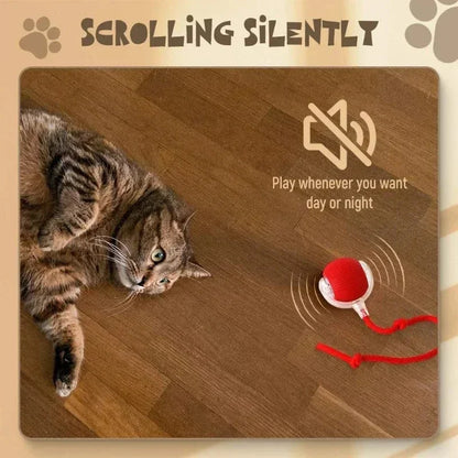 Smart Chase Pet Toy
