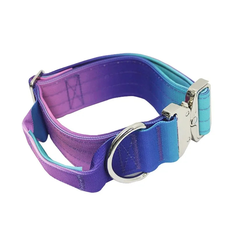 Comfort Control Dog Collar