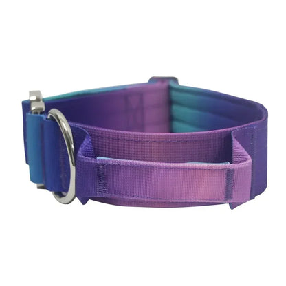 Comfort Control Dog Collar