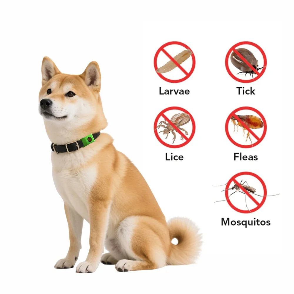 Flea & Tick Pendant 