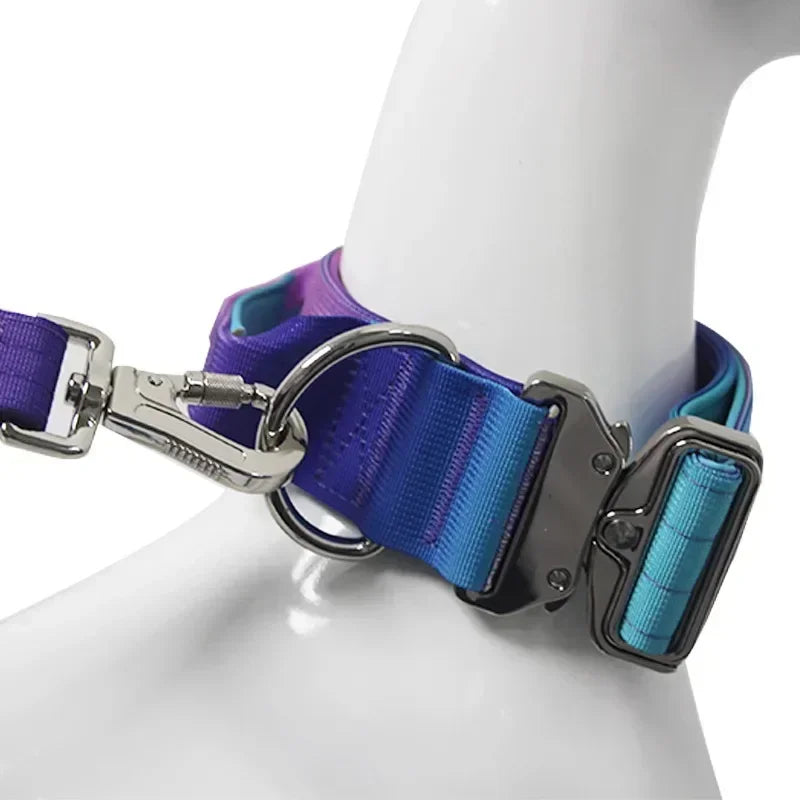 Comfort Control Dog Collar