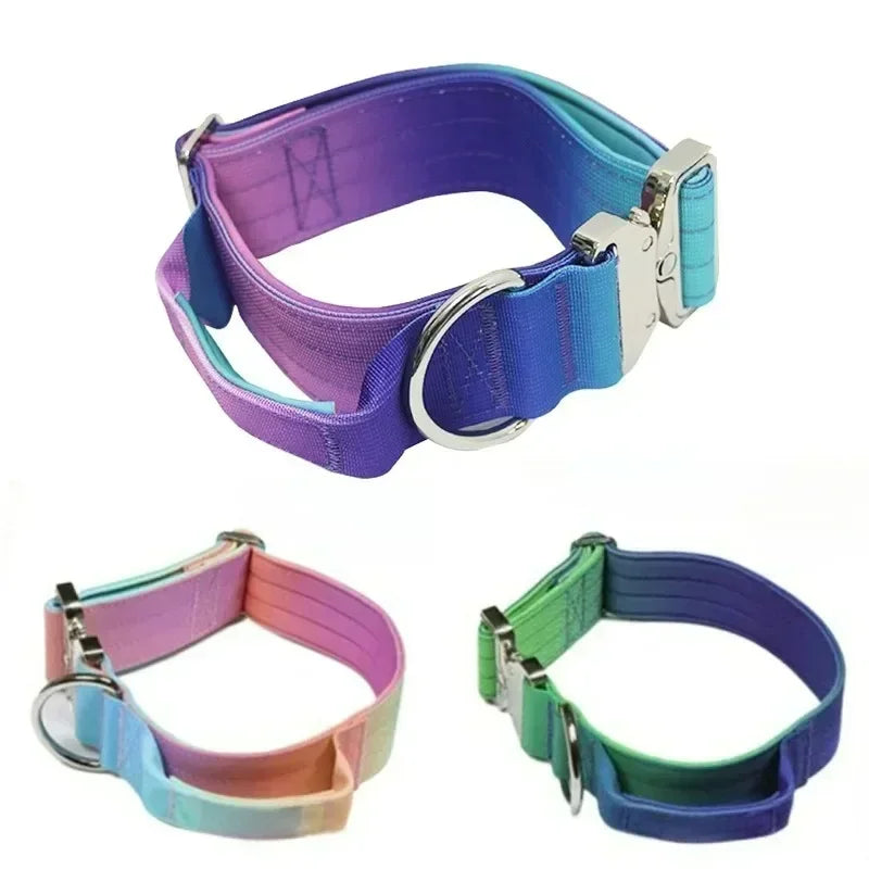 Comfort Control Dog Collar