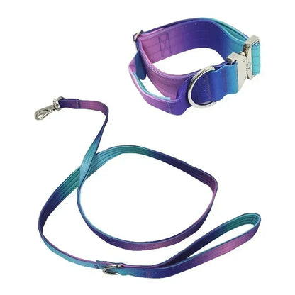 Comfort Control Dog Collar