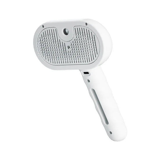 Steam Brush 